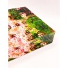 Giverny n°1