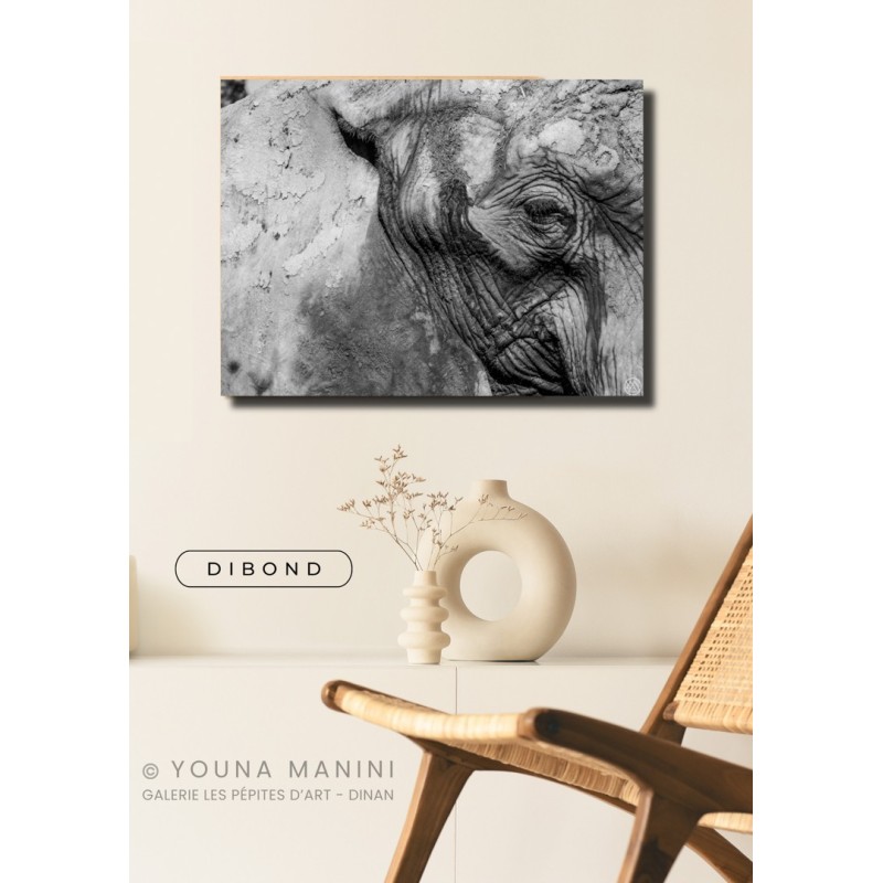 L'Oeil de l'Éléphant