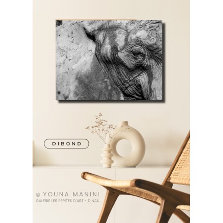 L'Oeil de l'Éléphant