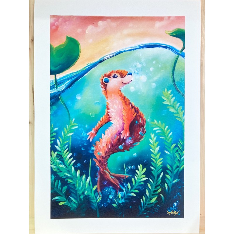 Loutre