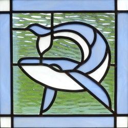 Cetacea