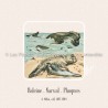 Baleine Narval Phoque