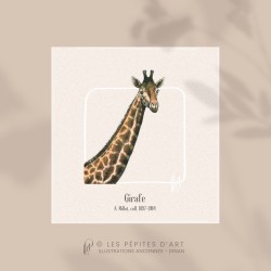 Girafe