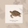 Tortue de Mer
