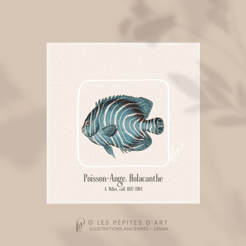 Poisson-Ange