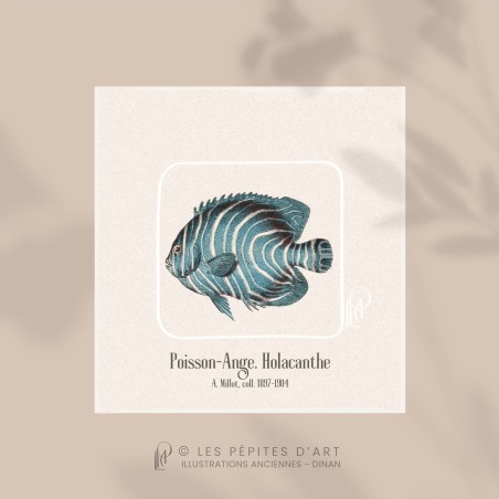 Poisson-Ange