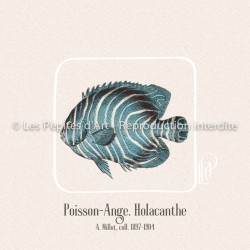Poisson-Ange
