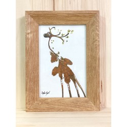 Cerf-feuille