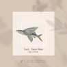 Exocet . Poisson Volant