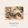 Homard . Océan
