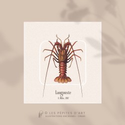 Langouste