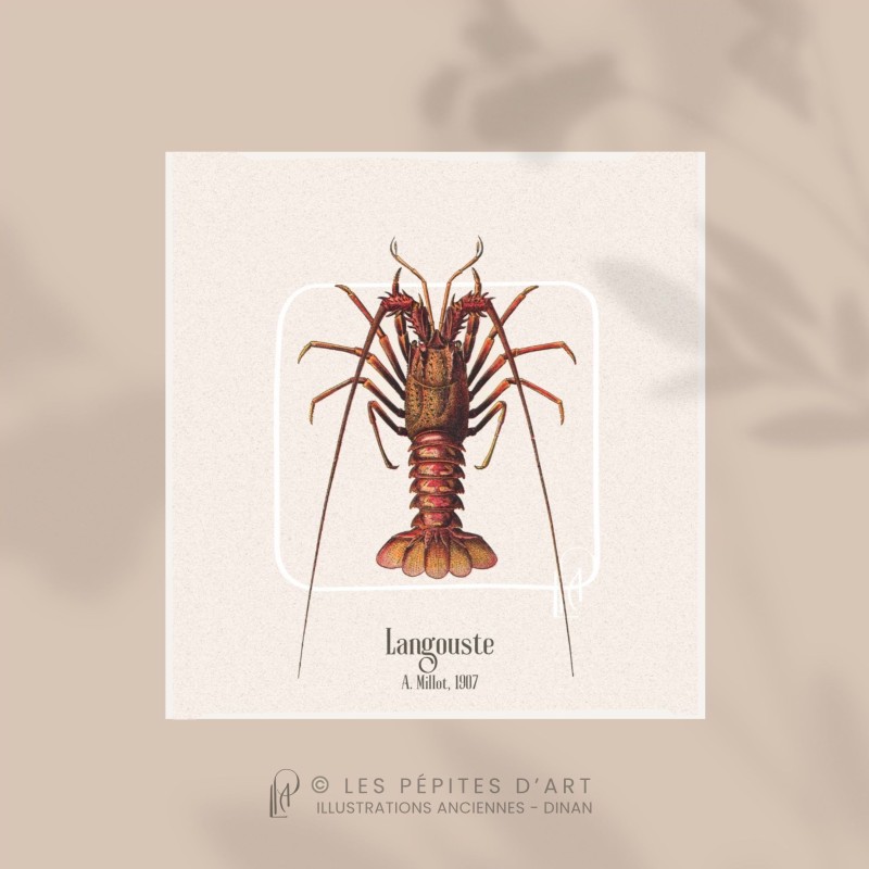 Langouste
