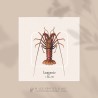 Langouste