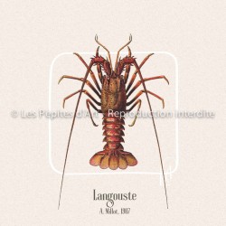 Langouste