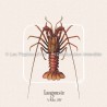 Langouste