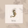 Hippocampe