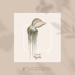 Physalia
