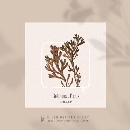 Goémons