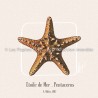 Etoile de Mer