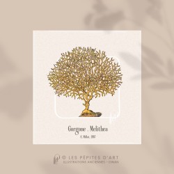 Gorgone . Melithea