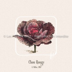 Chou Rouge