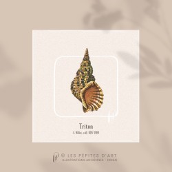 Triton