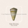 Conus Litteratus