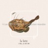 Lotte