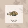 Porc-Épic . Diodon