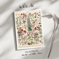 Fleurs II