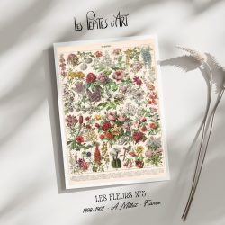 Fleurs III