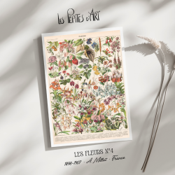 Fleurs IV