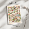 Fleurs IV