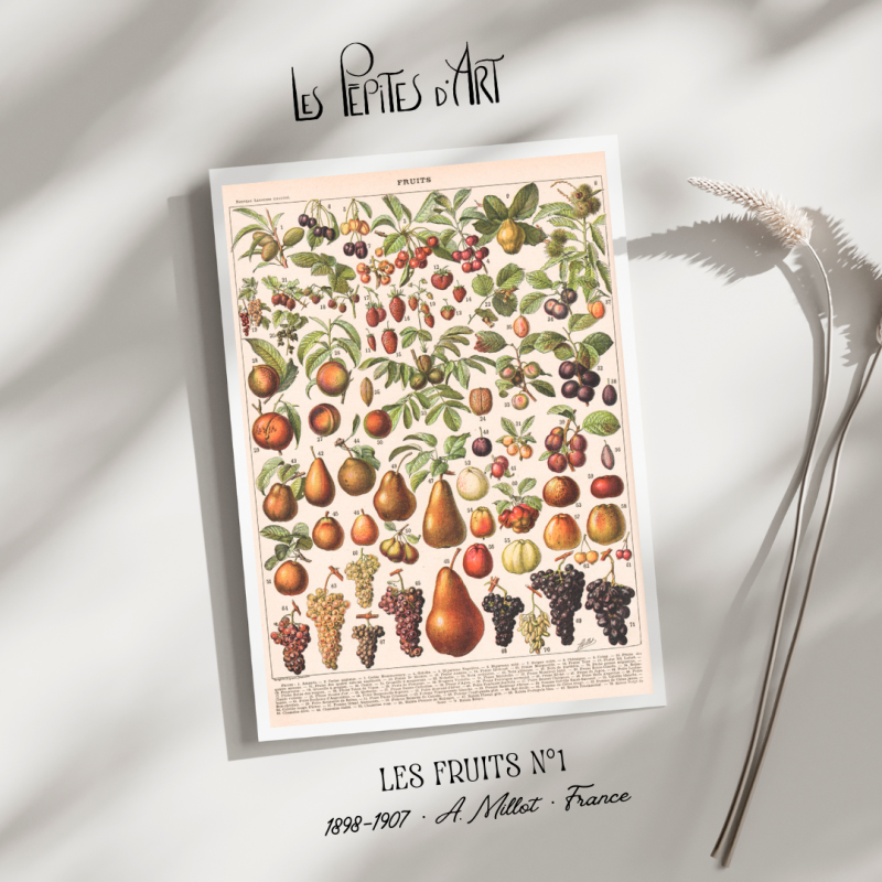Fruits I