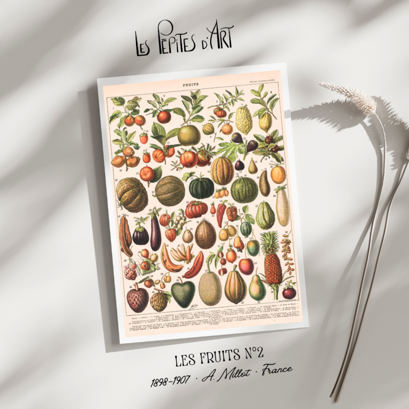 Fruits II