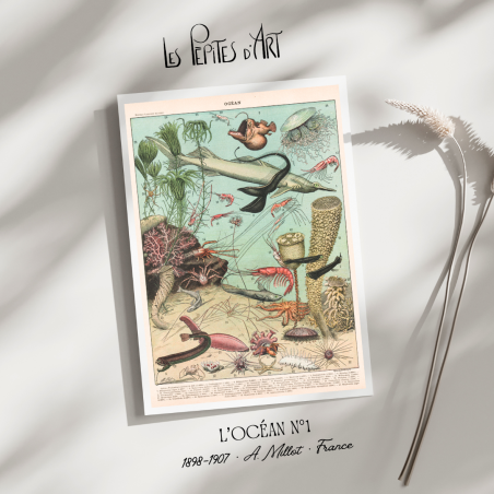 Océan I