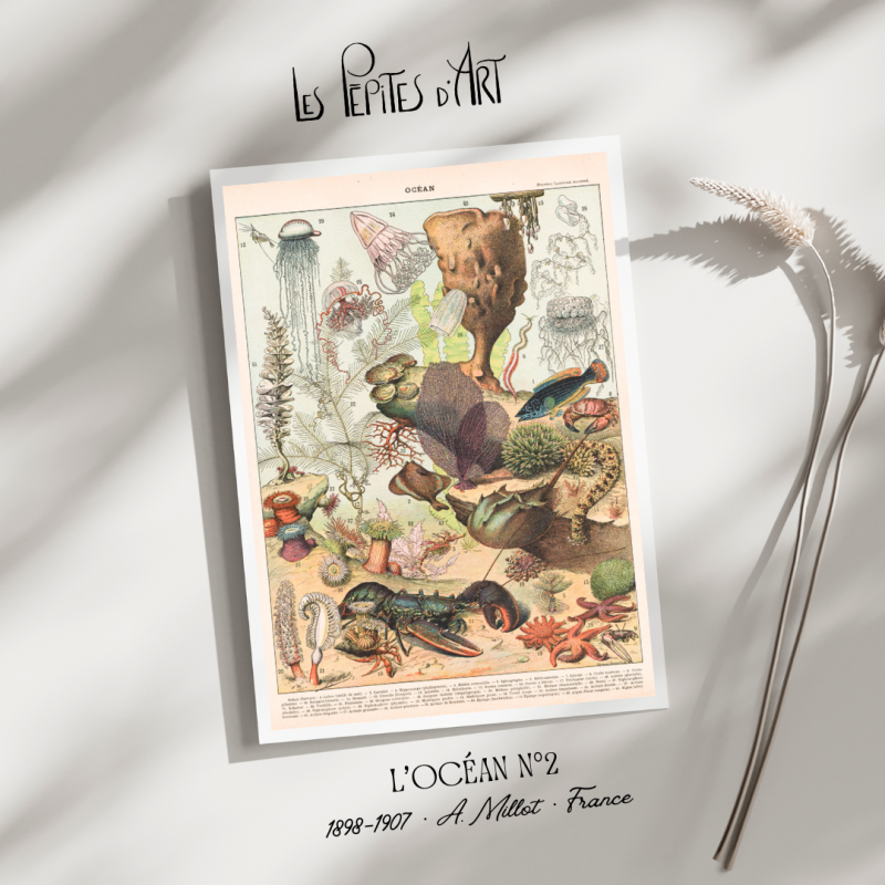 Océan II