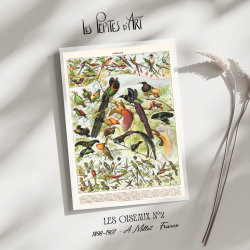 Oiseaux II