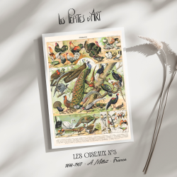 Oiseaux III