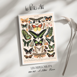 Papillons II