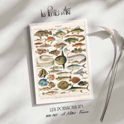 Poissons I