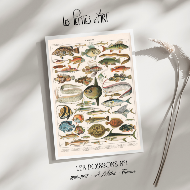 Poissons I