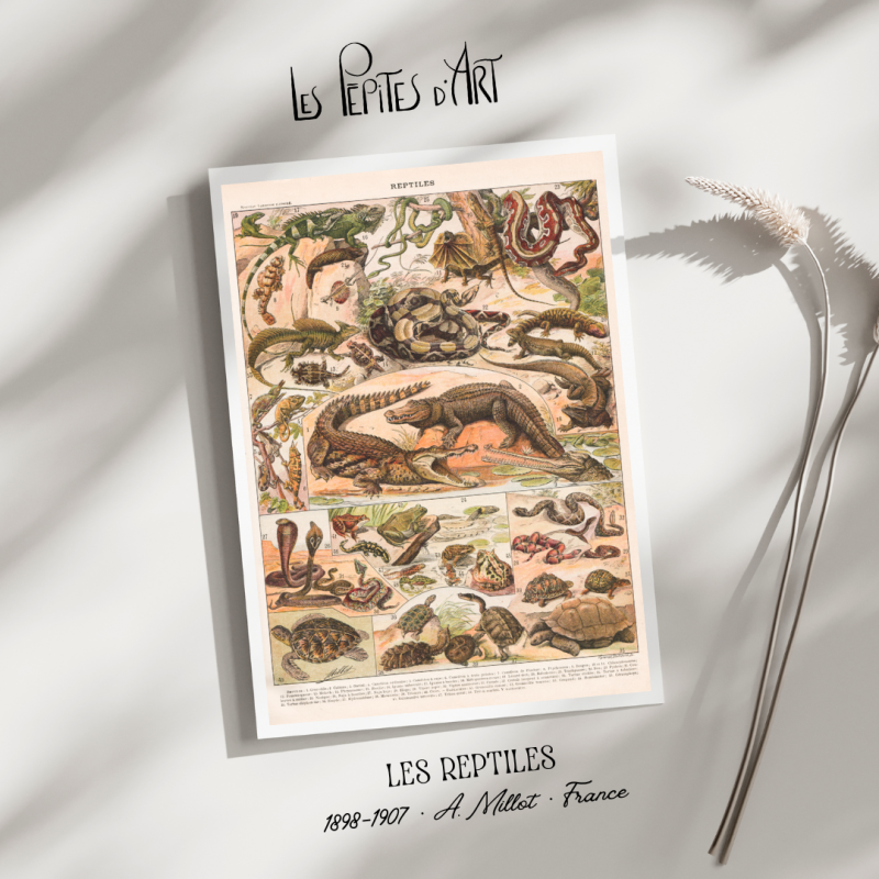 Reptiles