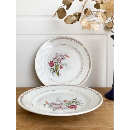 Assiettes plates (2) - 145
