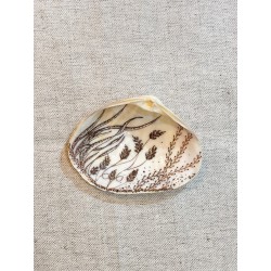 Clams Sepia