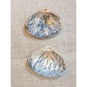 Clams Bleu