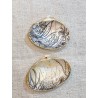 Clams Noir et Doré