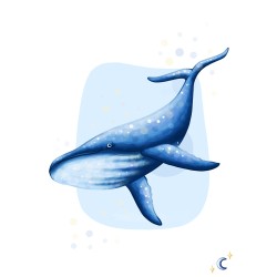 Baleine