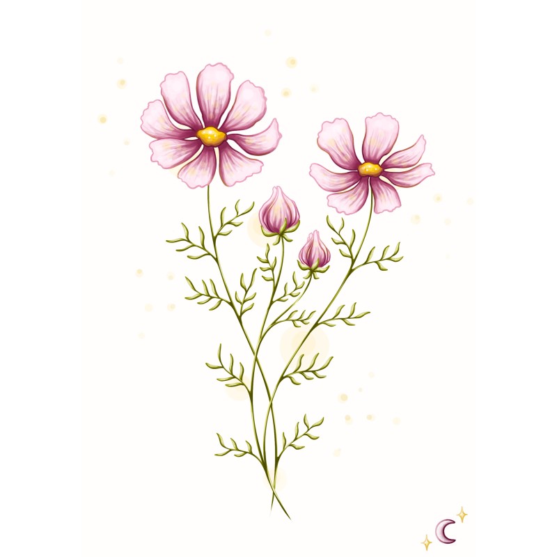 Cosmos