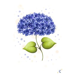 Hortensia